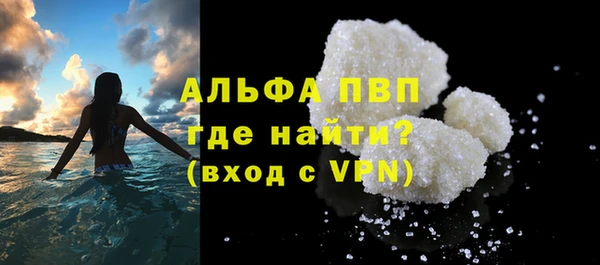 шишки Долгопрудный