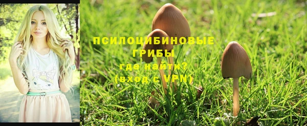 дживик Горнозаводск