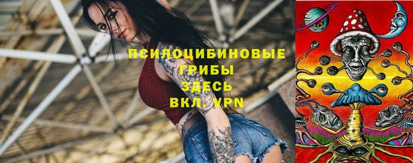 не бодяженный Горно-Алтайск