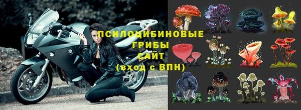 дживик Горнозаводск