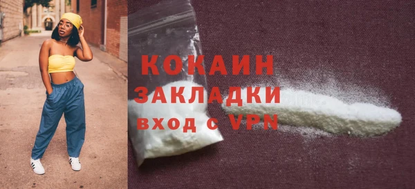 шишки Долгопрудный