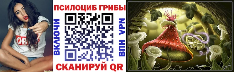 Галлюциногенные грибы Cubensis  Купить закладки  Пионерский 